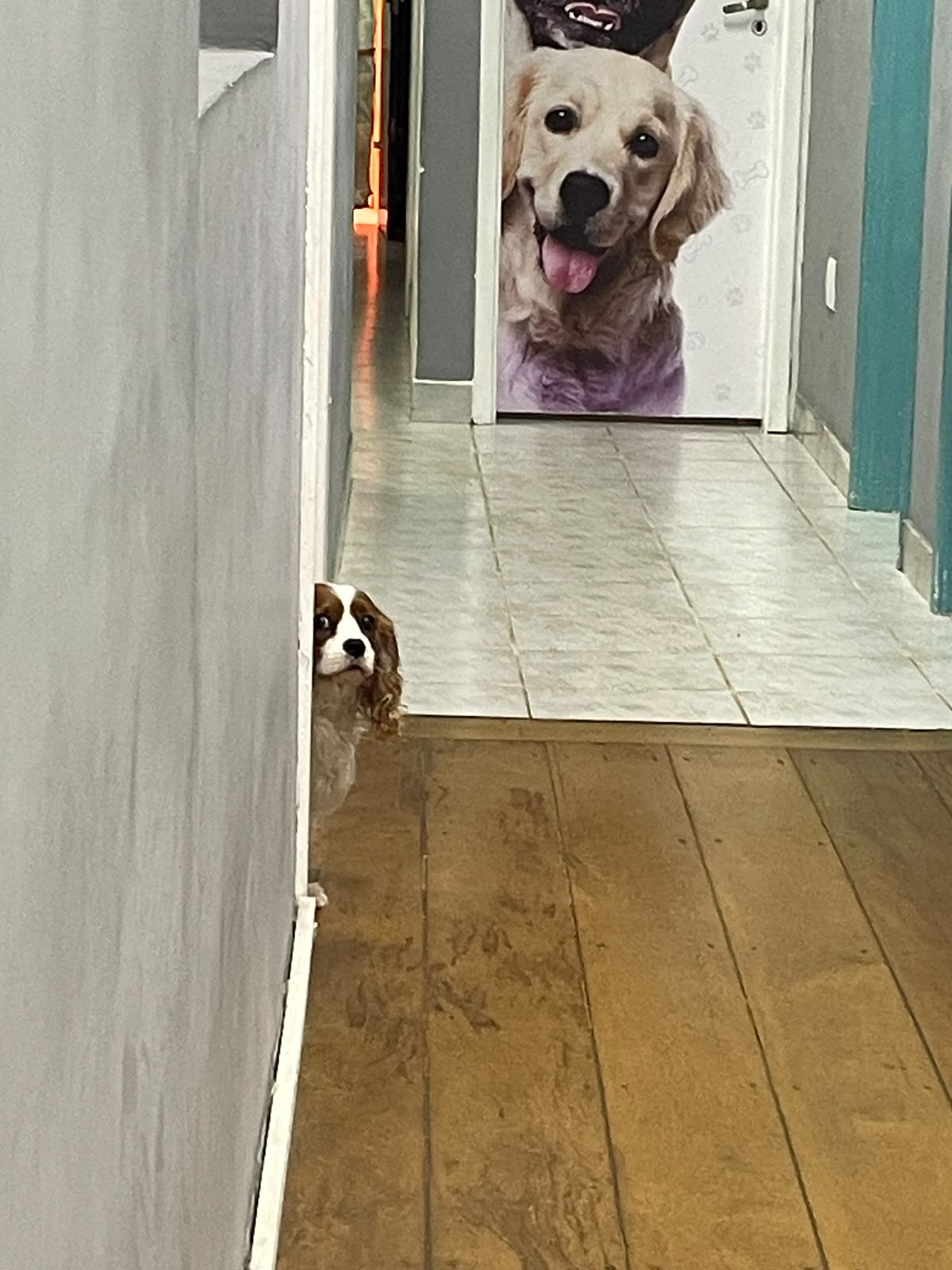 me sentindo observada….