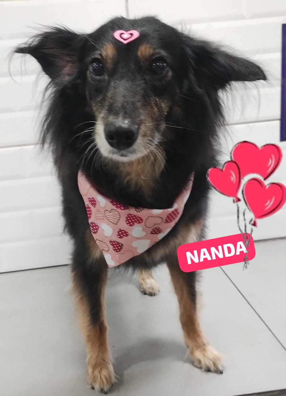 Nanda