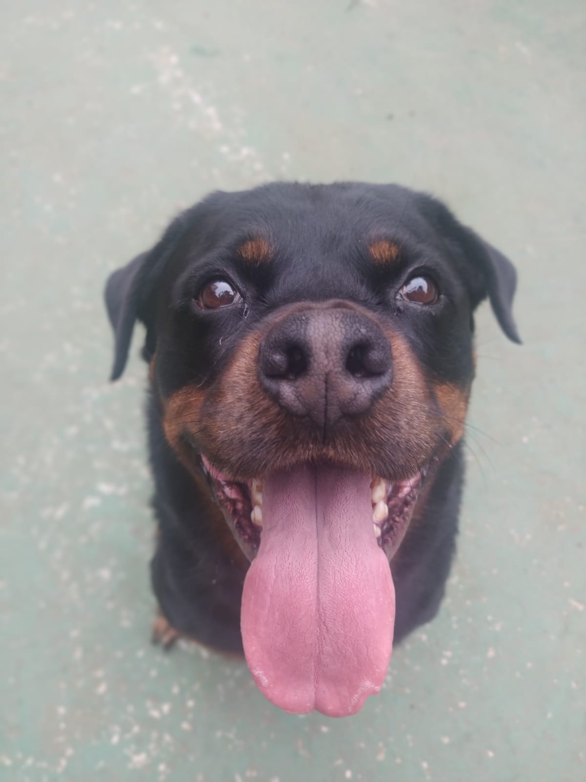 Bruce