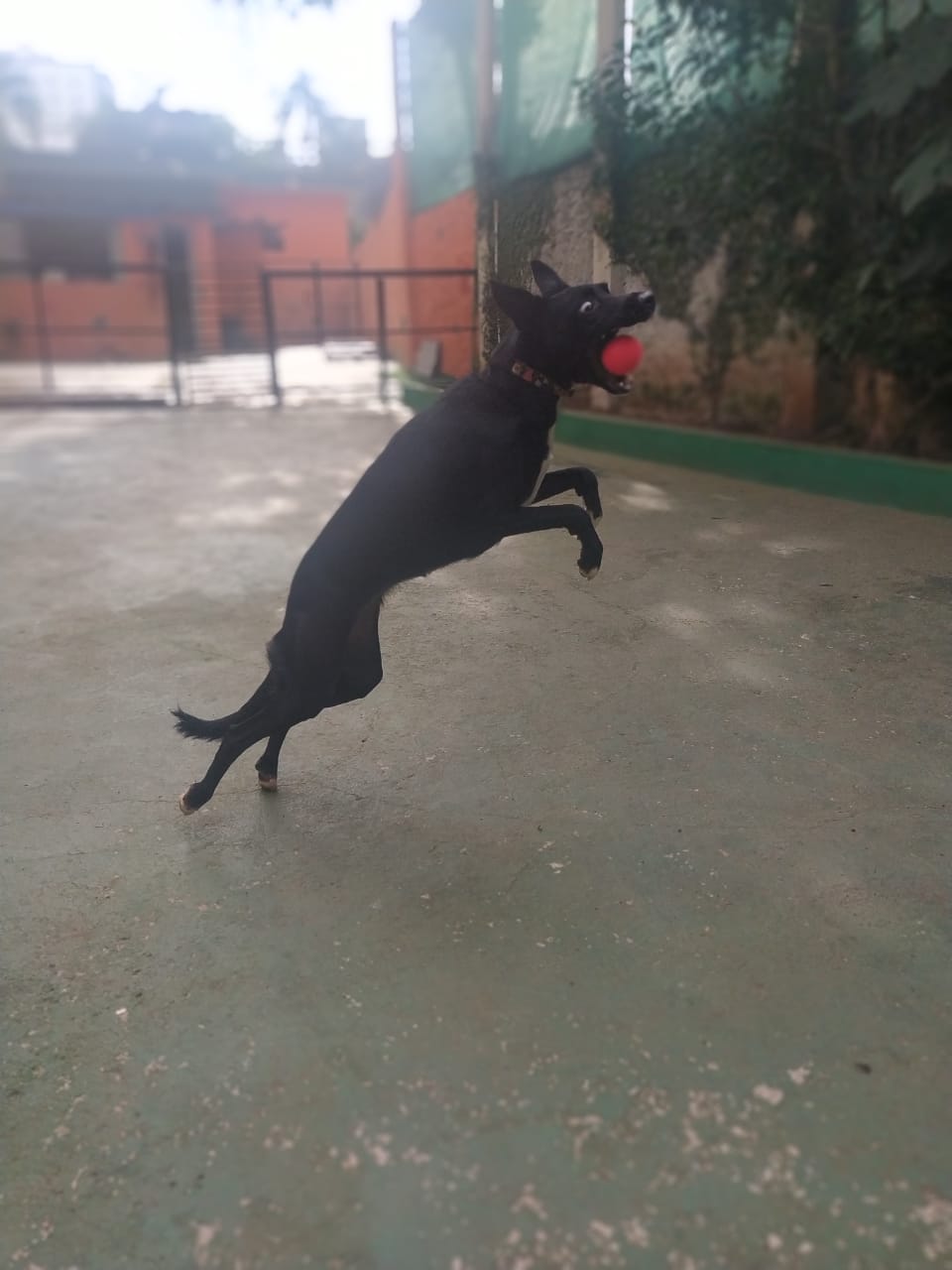 sexta-feira, 08/08/2025 10:02