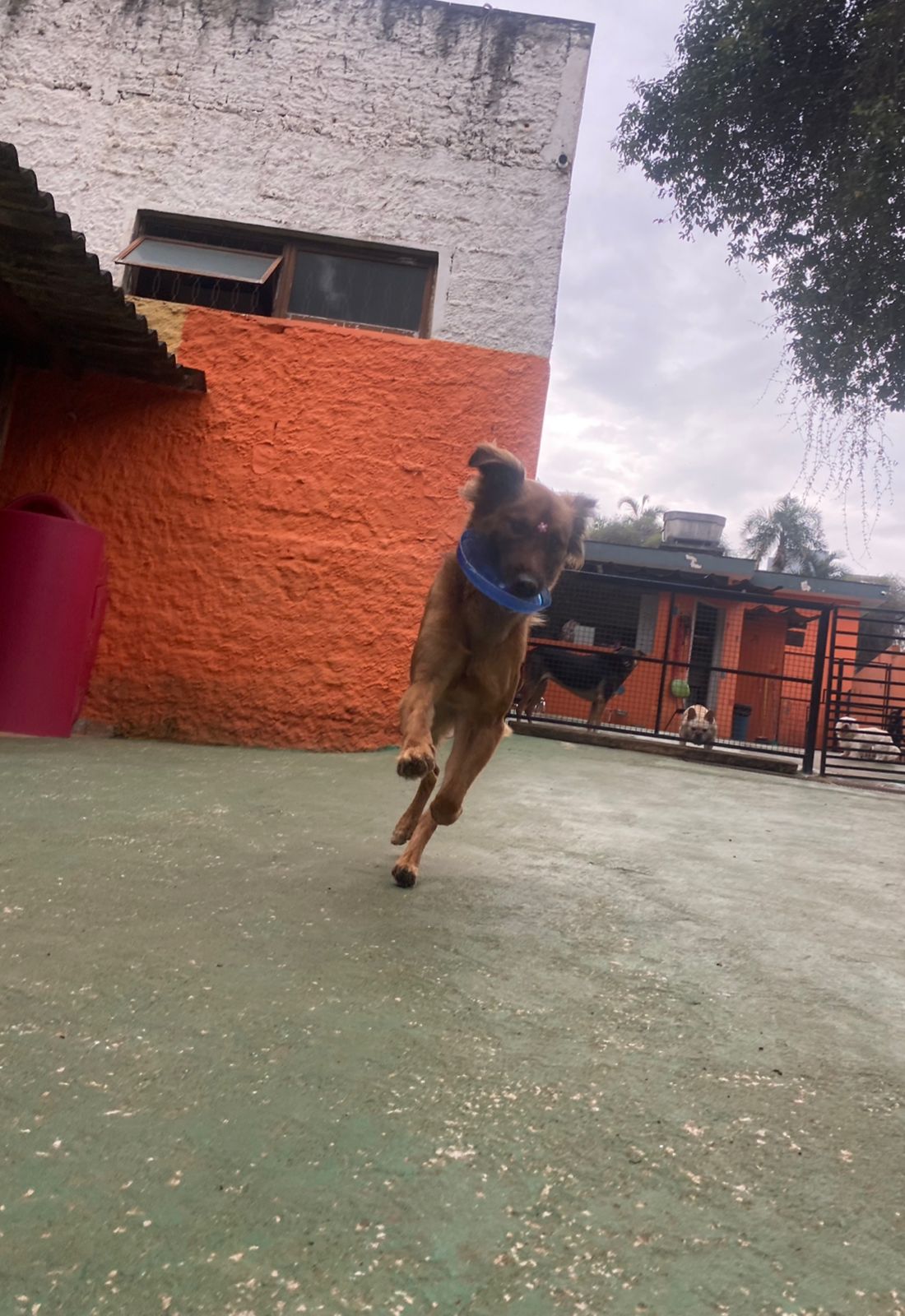 sexta-feira, 08/08/2025 15:49