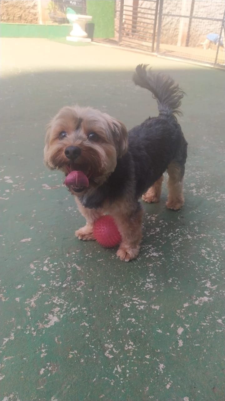 Charlie