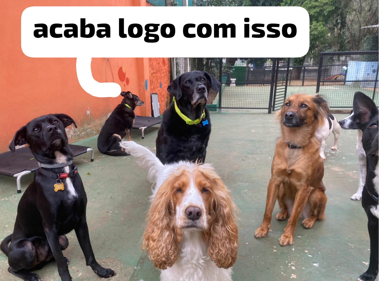 quinta-feira, 28/08/2025 14:40