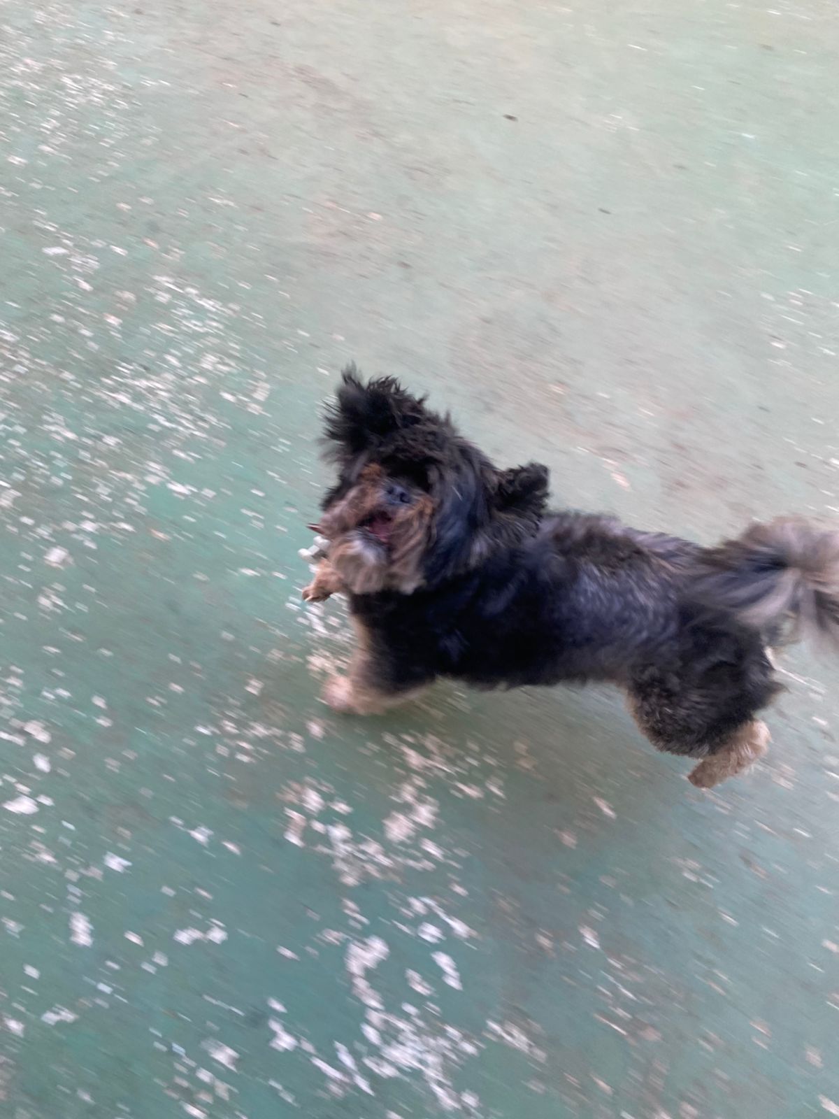 Spike