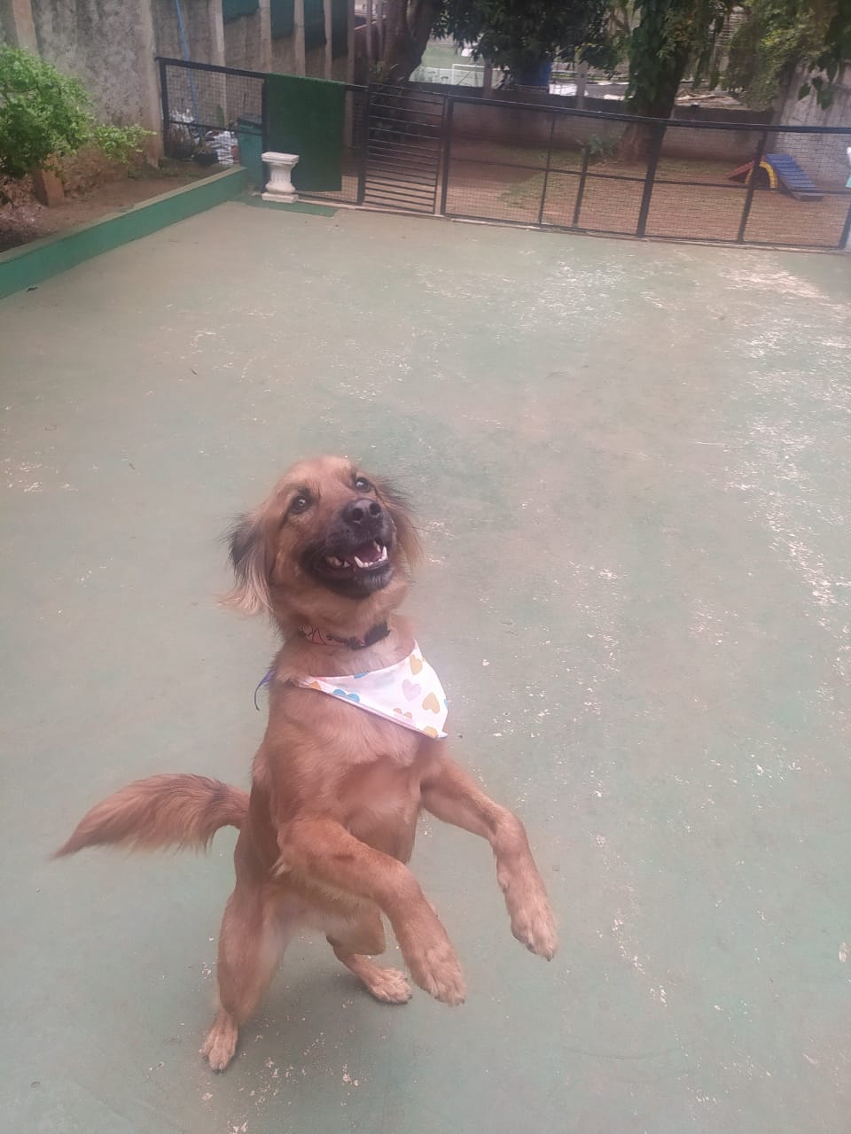 quinta-feira, 02/10/2025 10:45