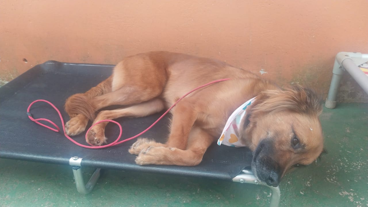 quinta-feira, 02/10/2025 11:52