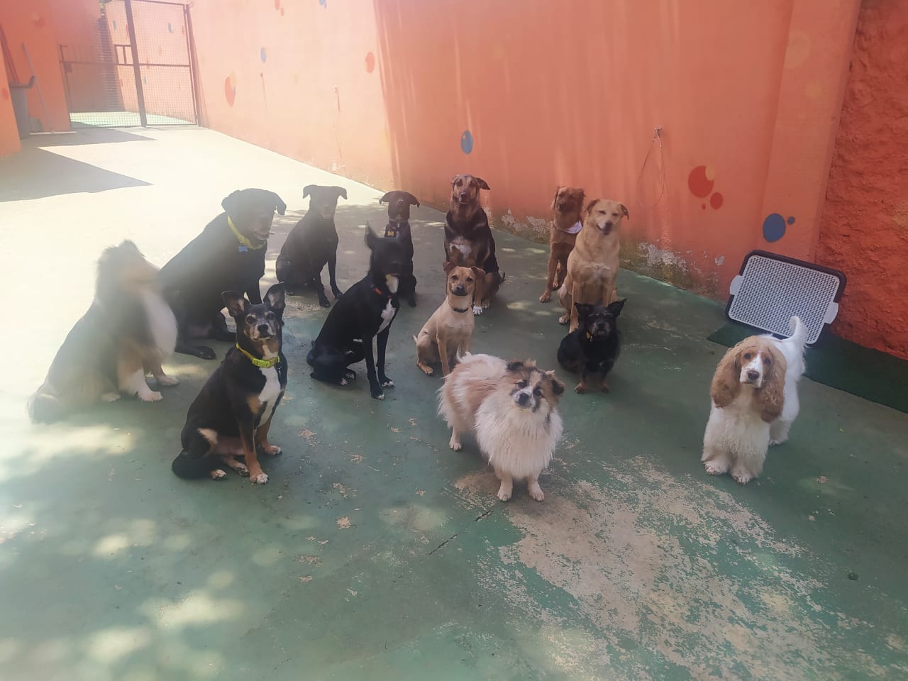 agora vou querer meu pastel c caldo de cana de quem duvidou