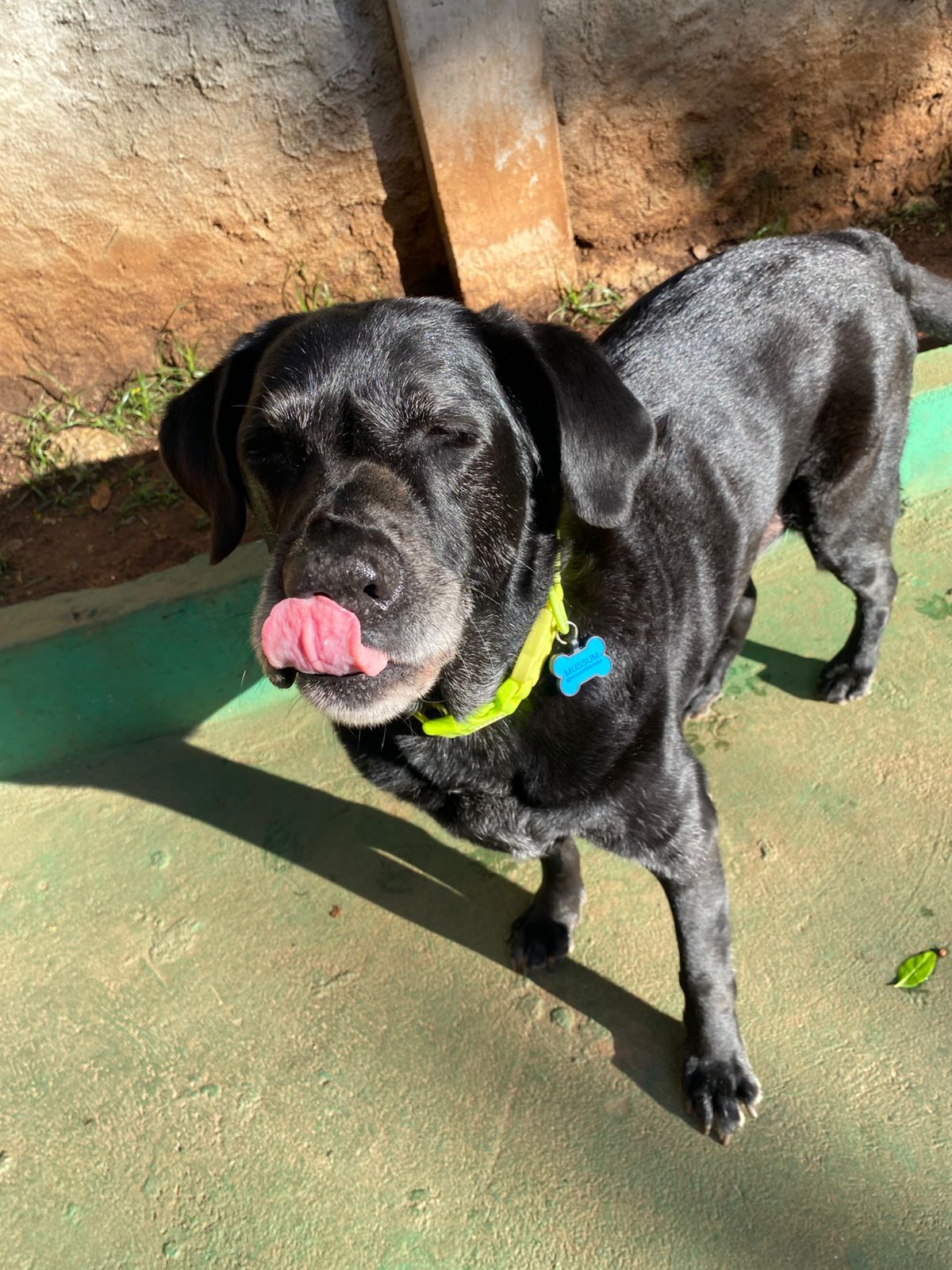 terça-feira, 18/11/2025 17:13