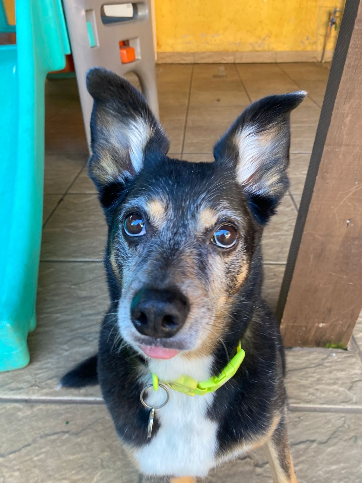 terça-feira, 18/11/2025 17:13