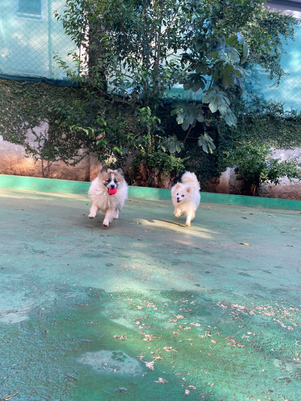 terça-feira, 18/11/2025 17:13