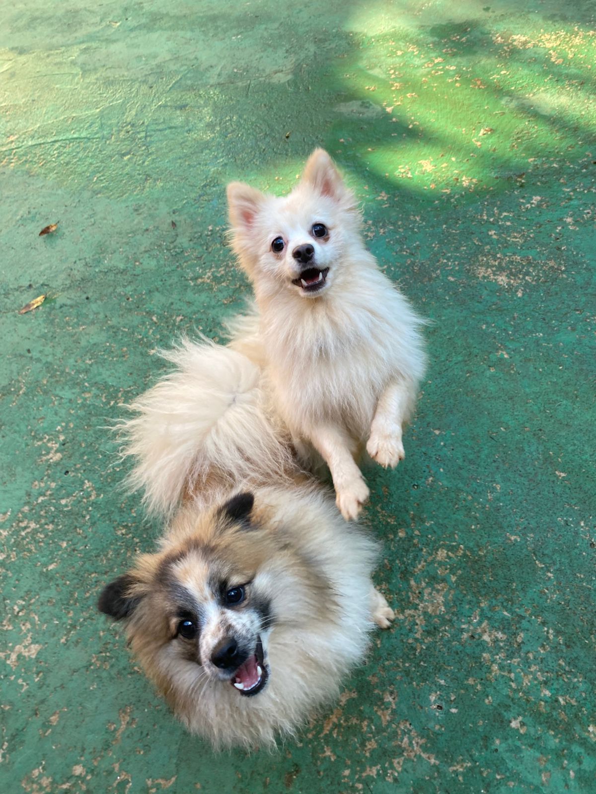 terça-feira, 18/11/2025 17:13