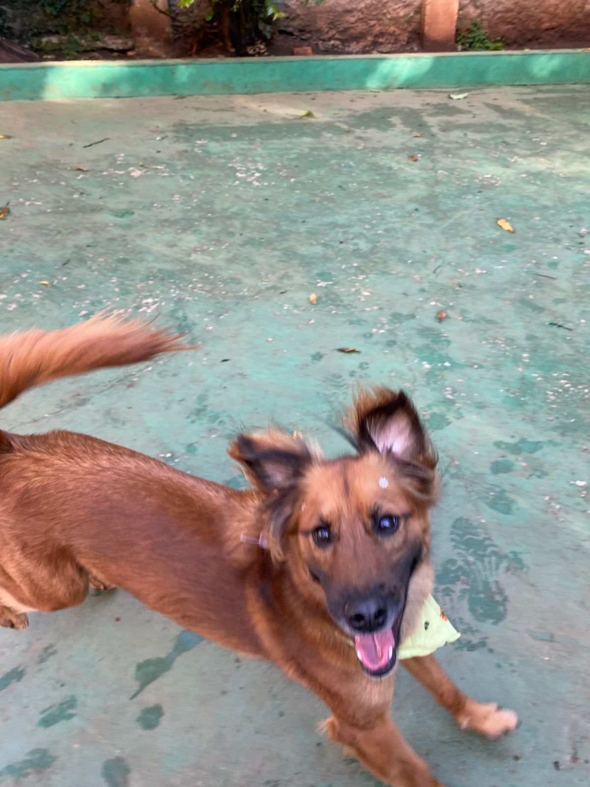 terça-feira, 18/11/2025 17:13