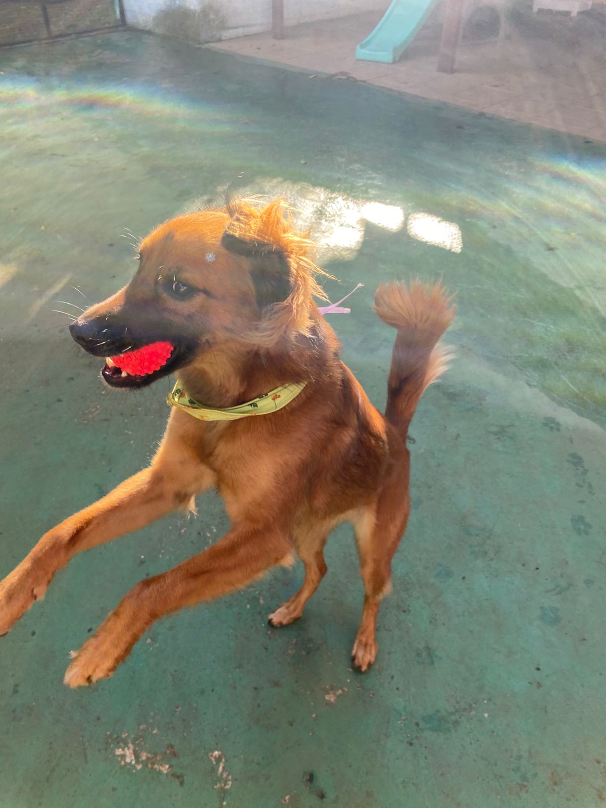 terça-feira, 18/11/2025 17:13