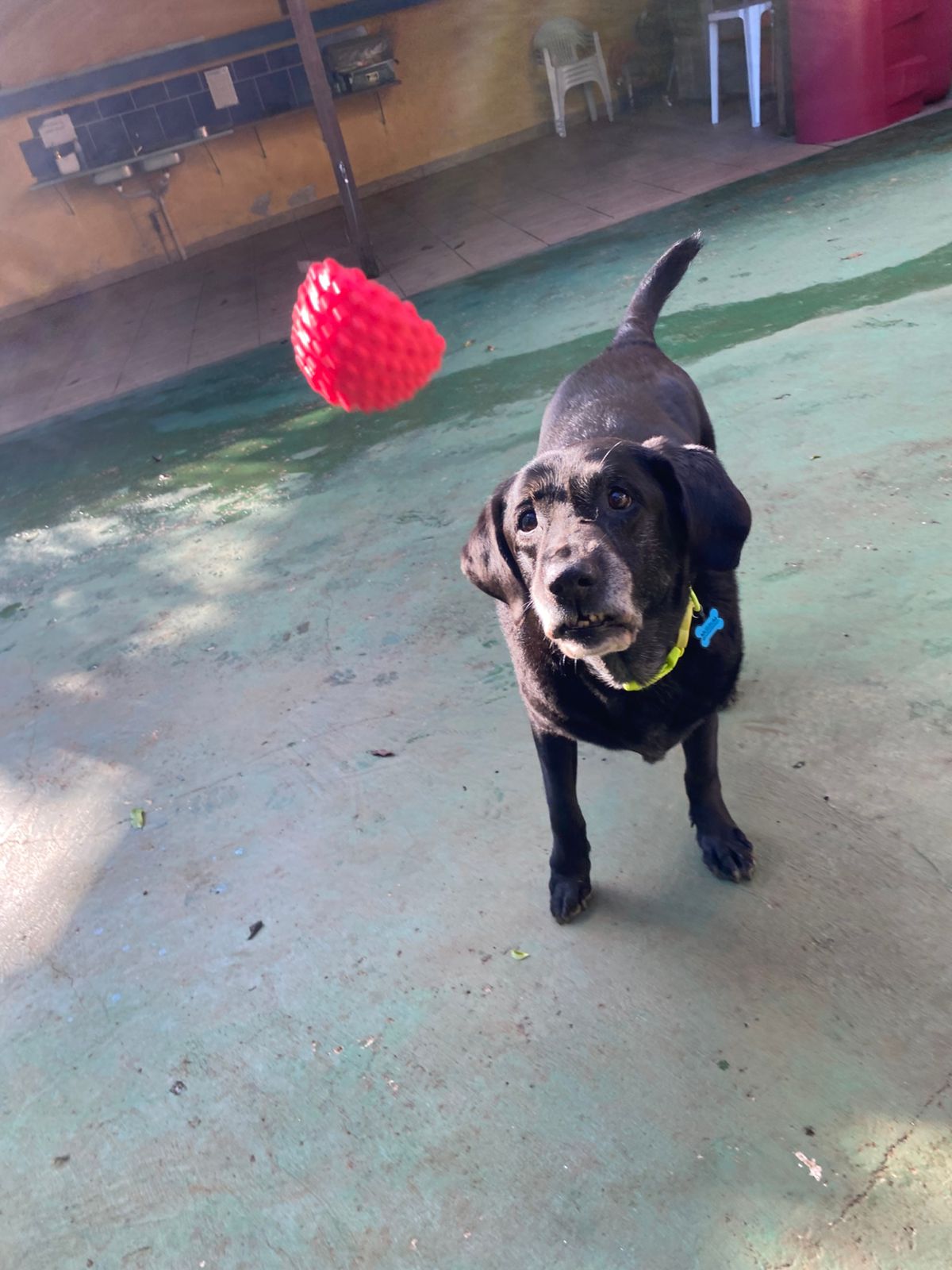 terça-feira, 18/11/2025 17:13