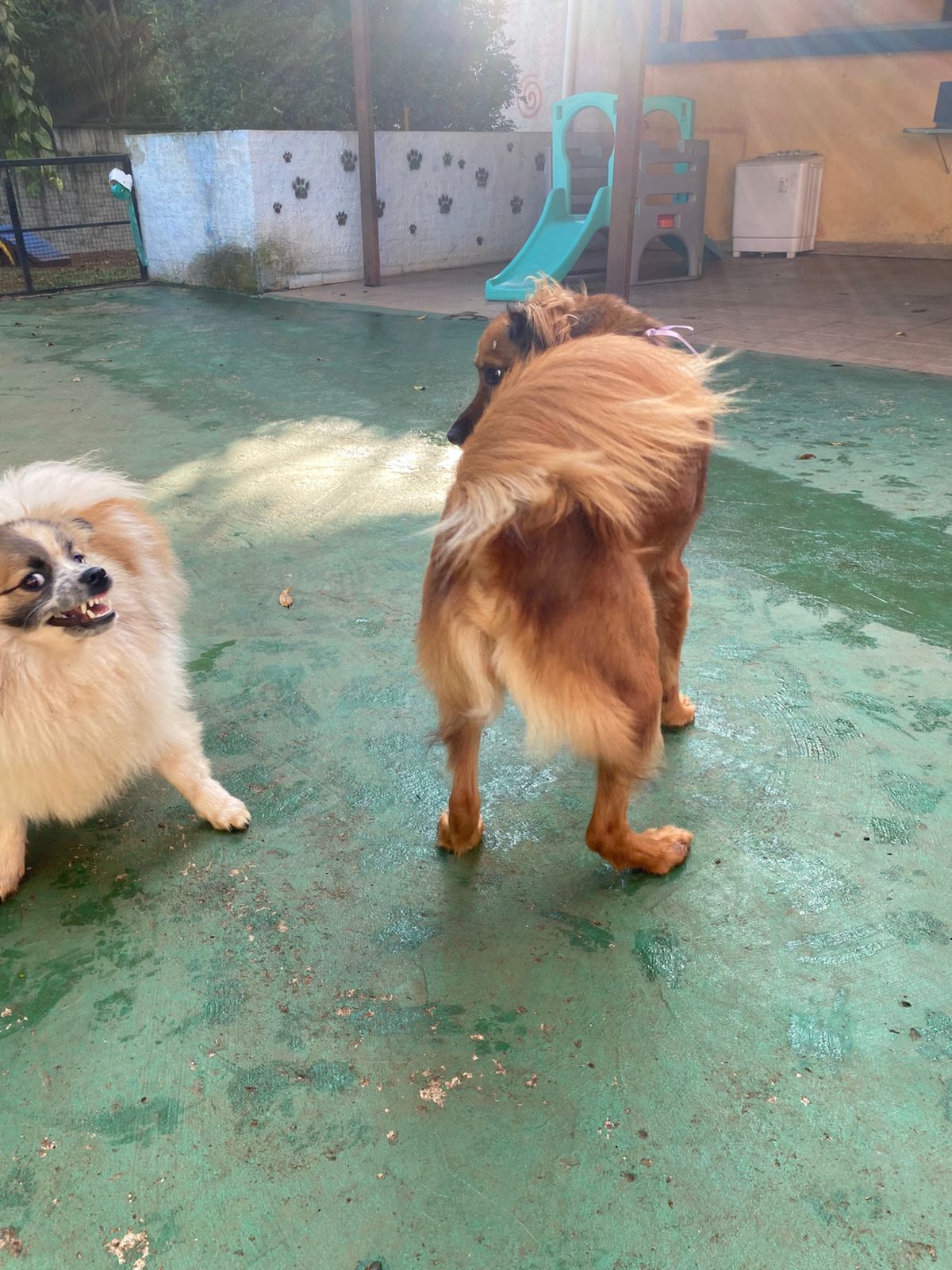 terça-feira, 18/11/2025 17:17