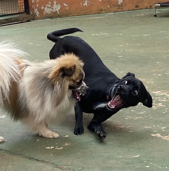 Agora essa imagem começa a fazer sentido 😂😂😂