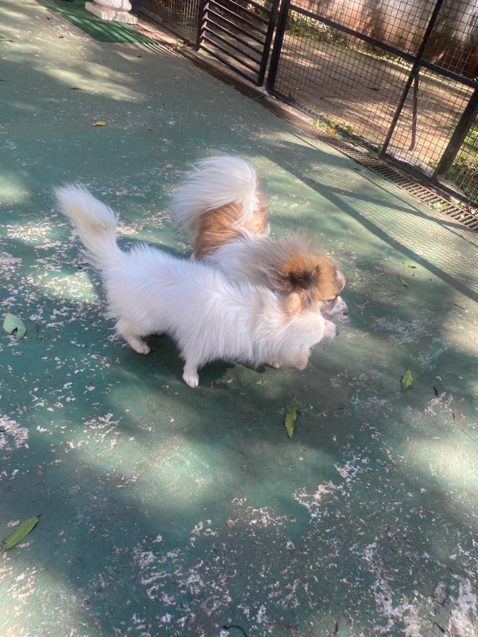 quinta-feira, 11/12/2025 16:13