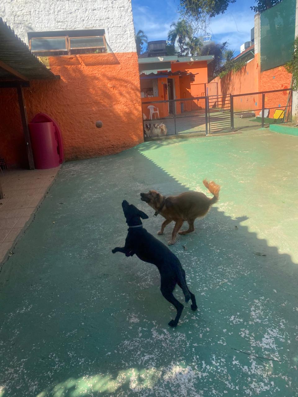 quinta-feira, 11/12/2025 16:13