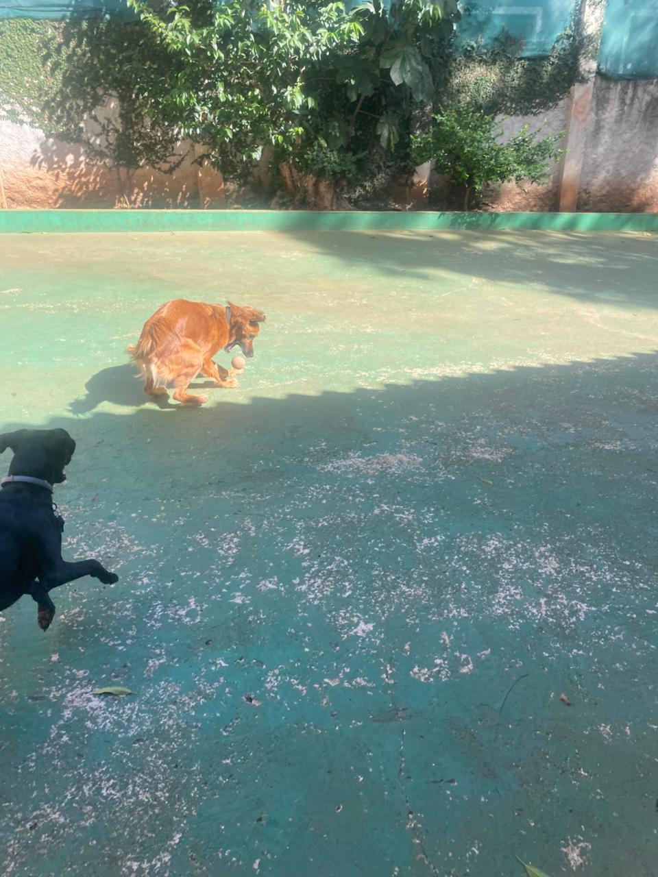 quinta-feira, 11/12/2025 16:13