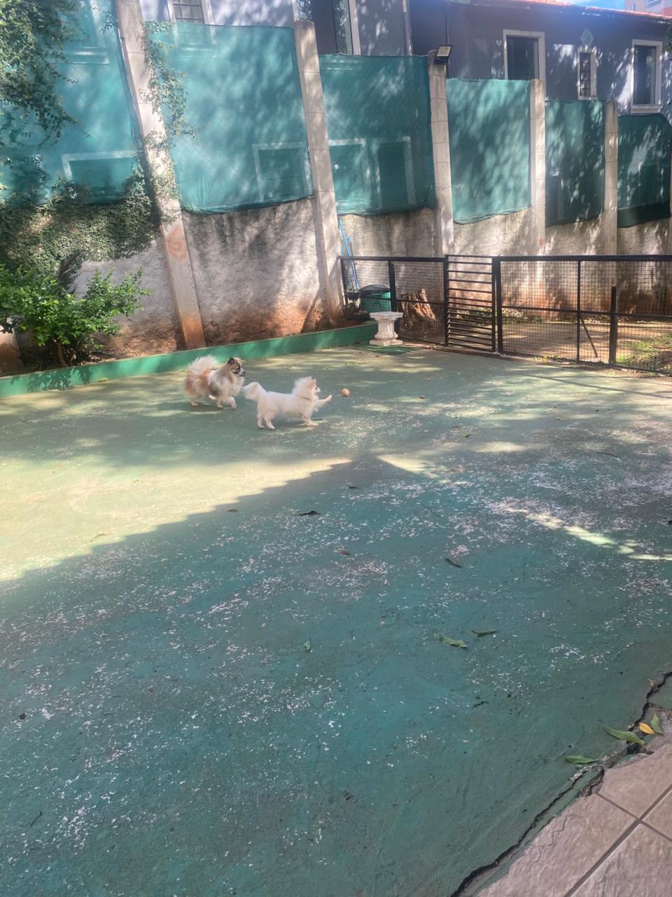 quinta-feira, 11/12/2025 16:13