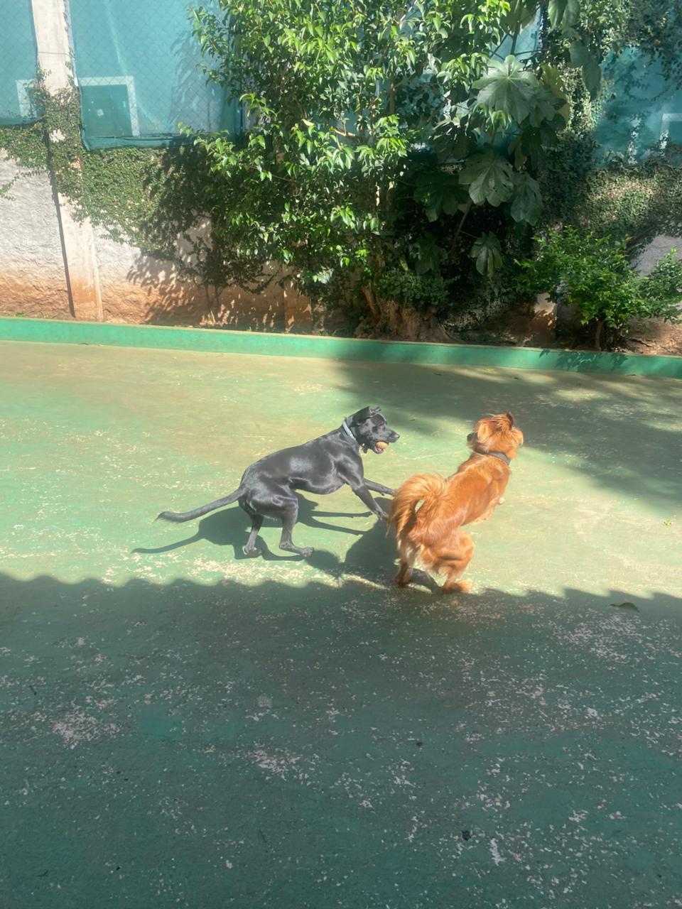 quinta-feira, 11/12/2025 16:13