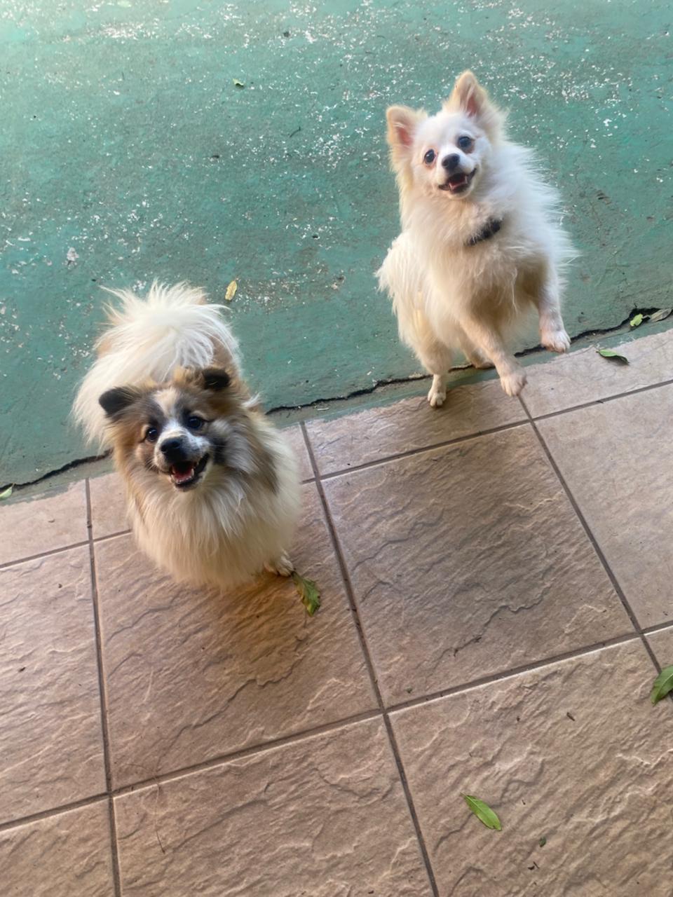 quinta-feira, 11/12/2025 16:13