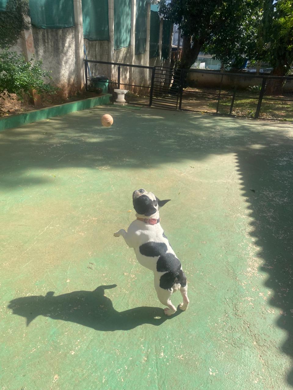 quinta-feira, 11/12/2025 16:13