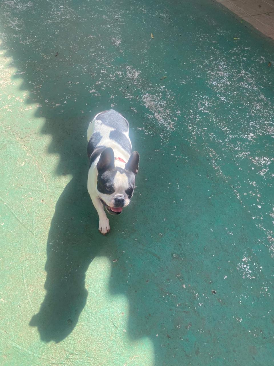 quinta-feira, 11/12/2025 16:13