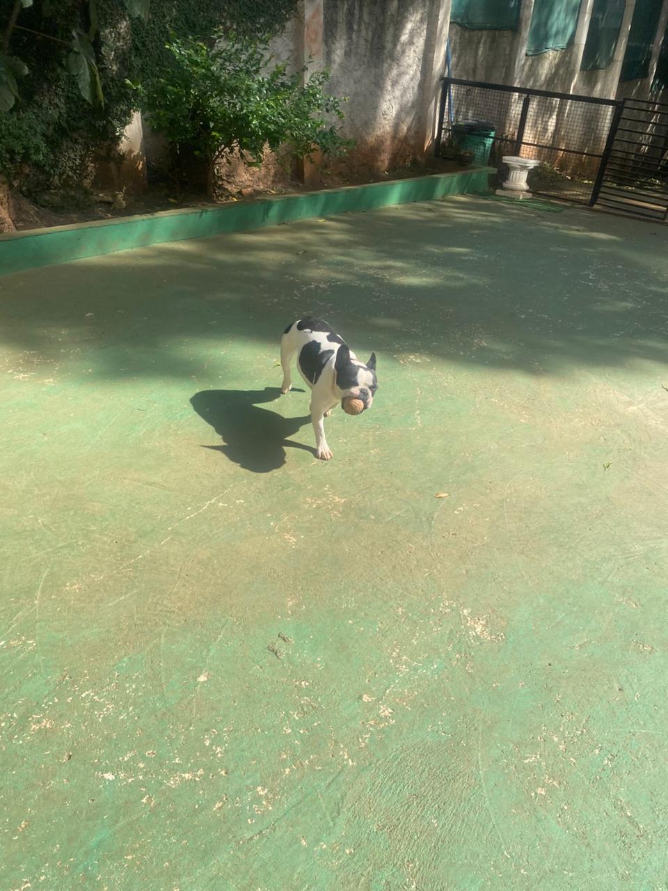 quinta-feira, 11/12/2025 16:13