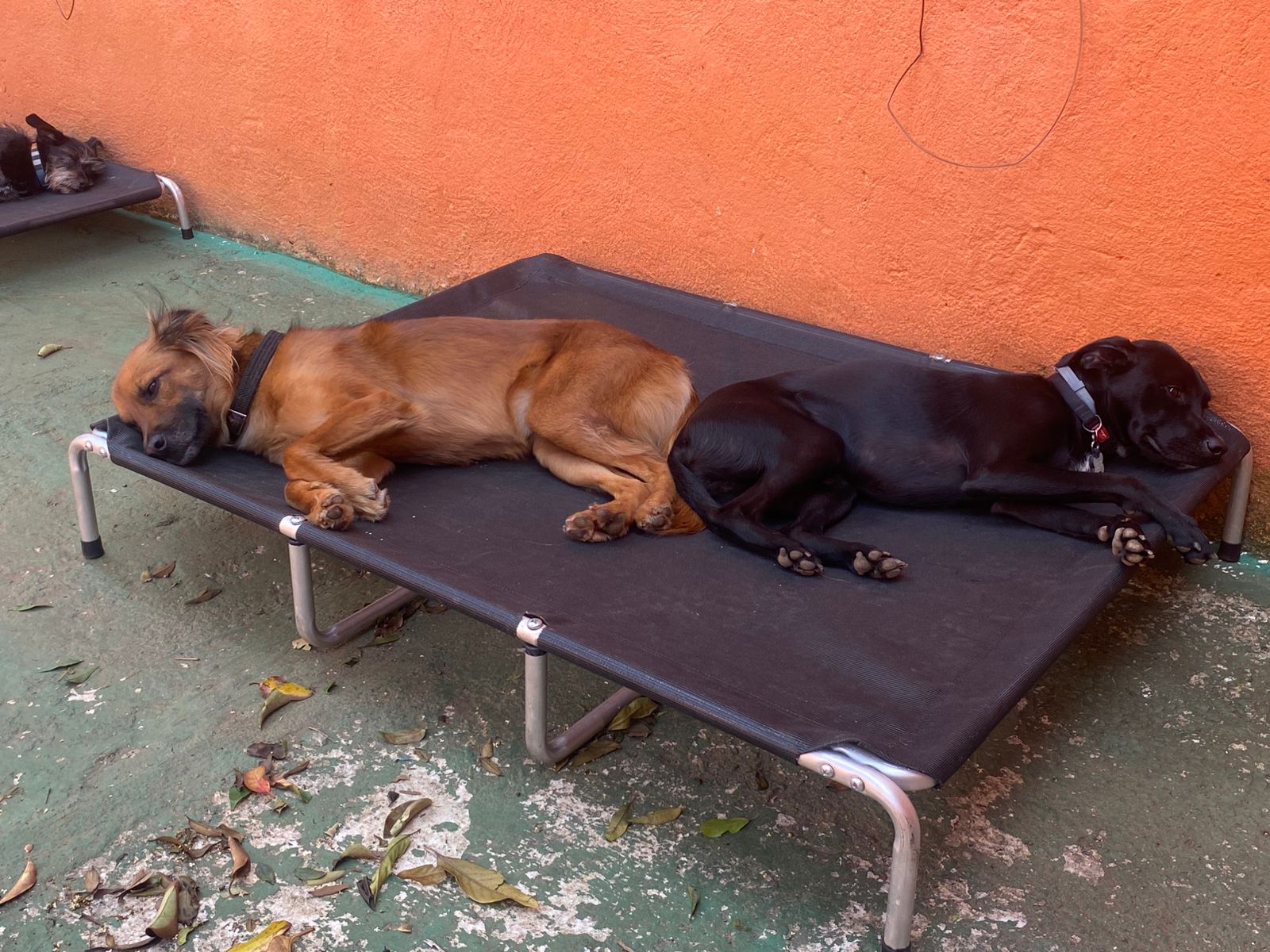 quinta-feira, 11/12/2025 16:24