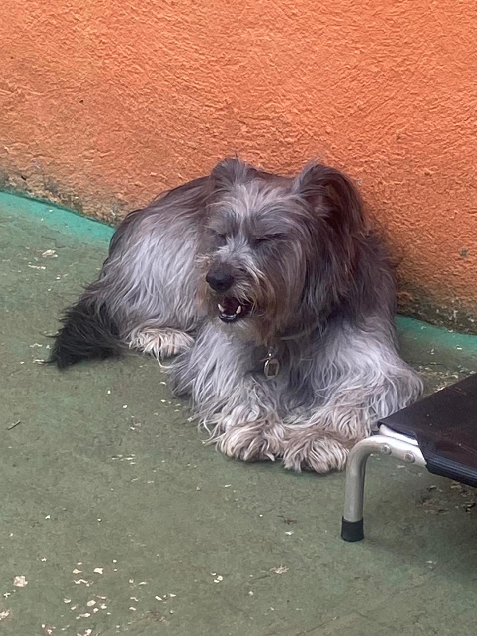 sexta-feira, 12/12/2025 13:32