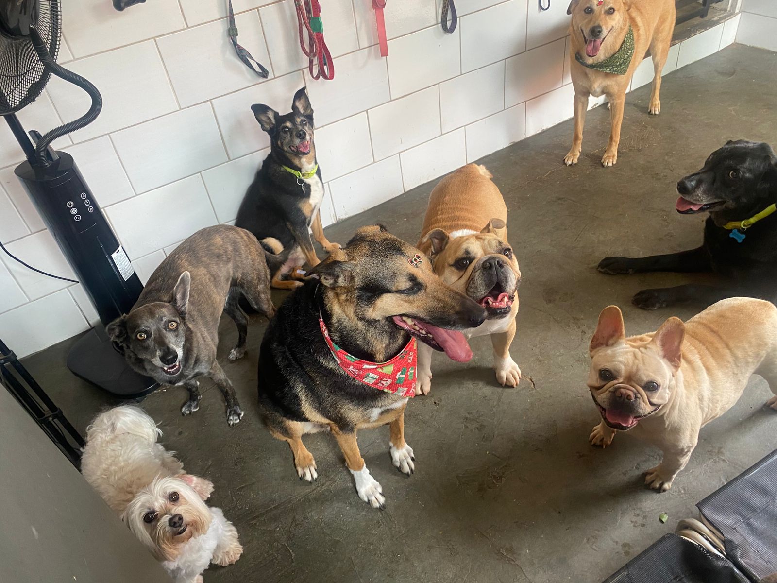 sexta-feira, 12/12/2025 14:46