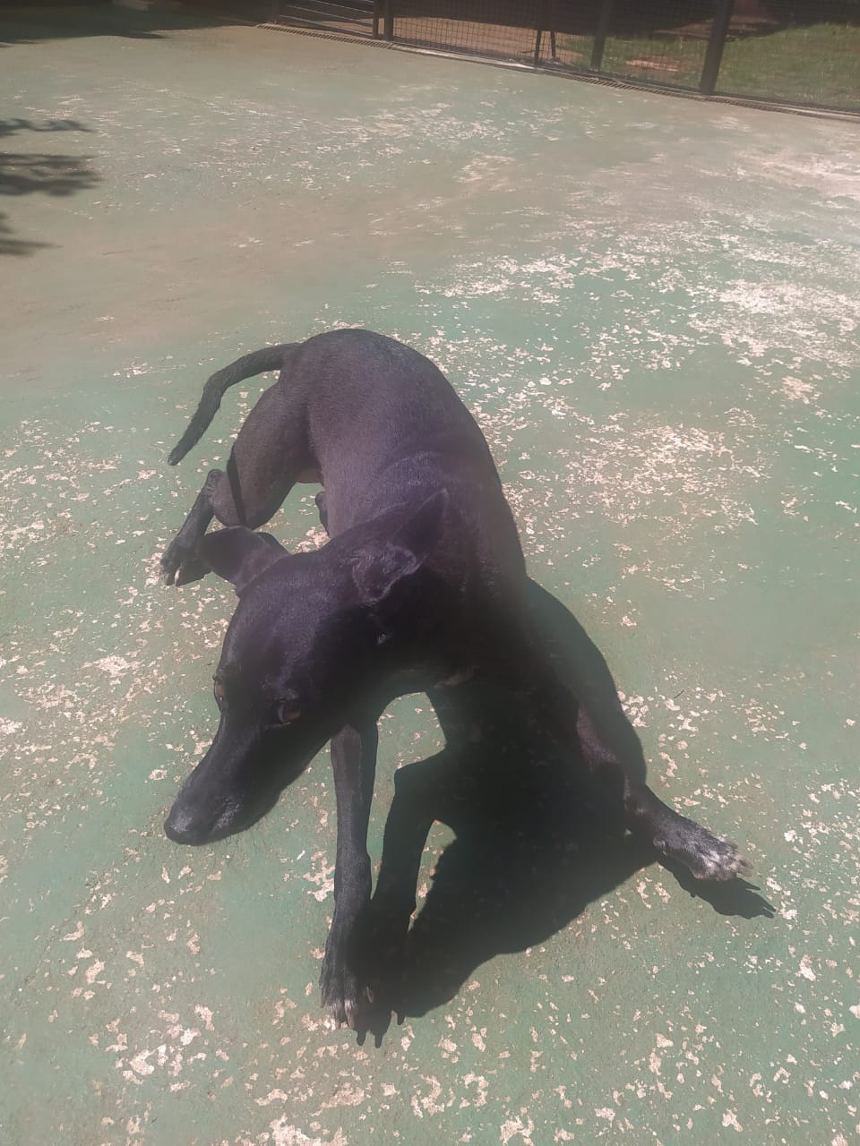 sexta-feira, 09/01/2026 10:31