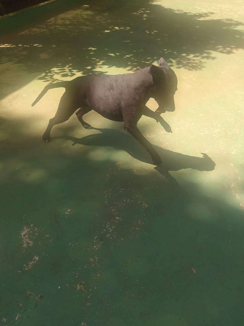 sexta-feira, 09/01/2026 10:31