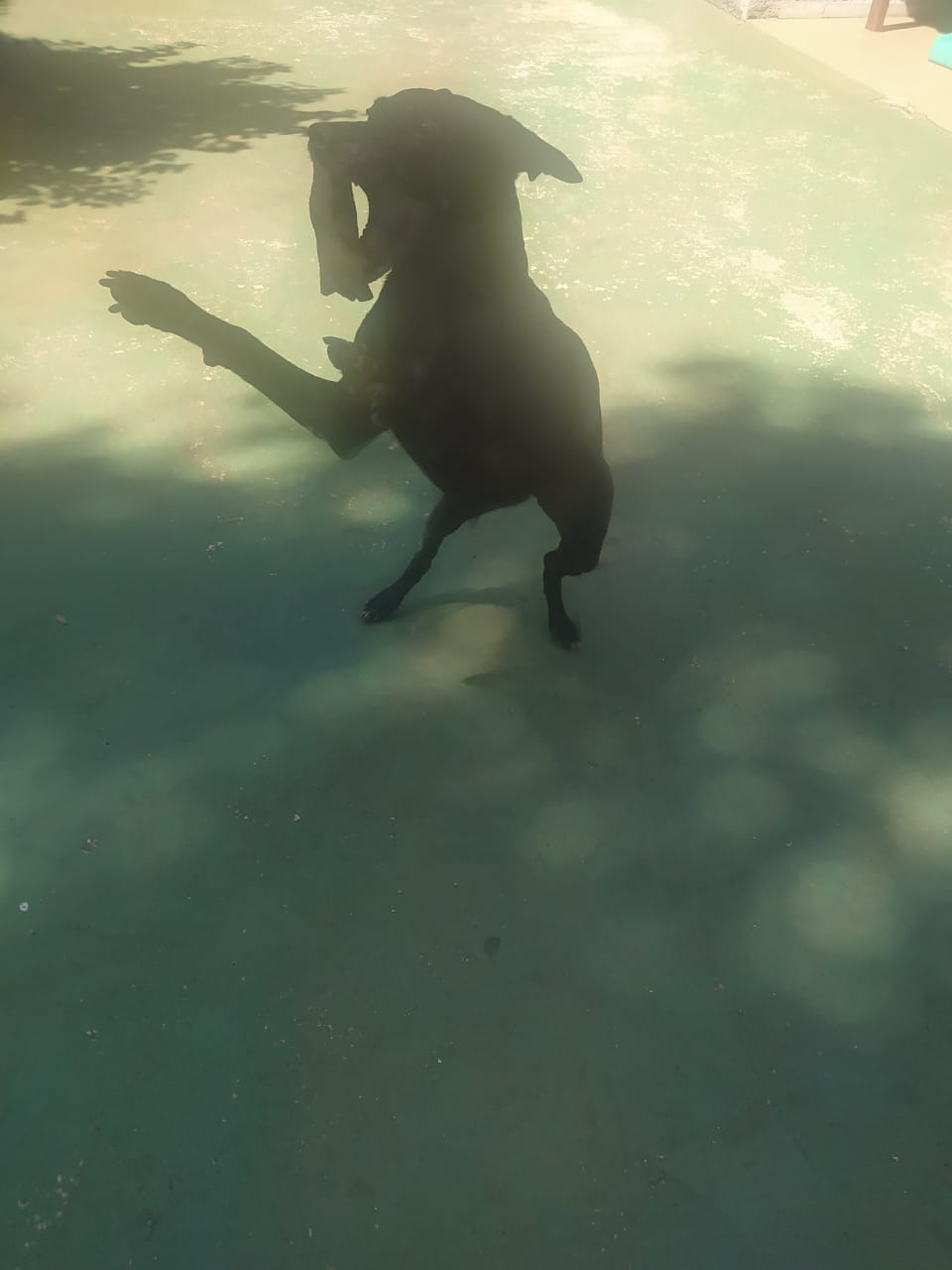 sexta-feira, 09/01/2026 10:31