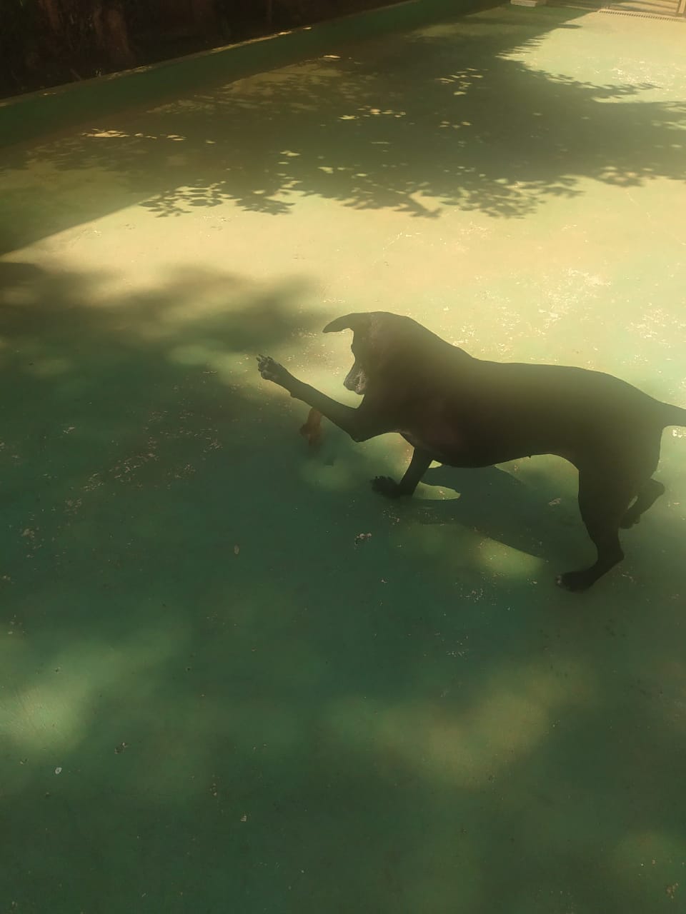 sexta-feira, 09/01/2026 10:31