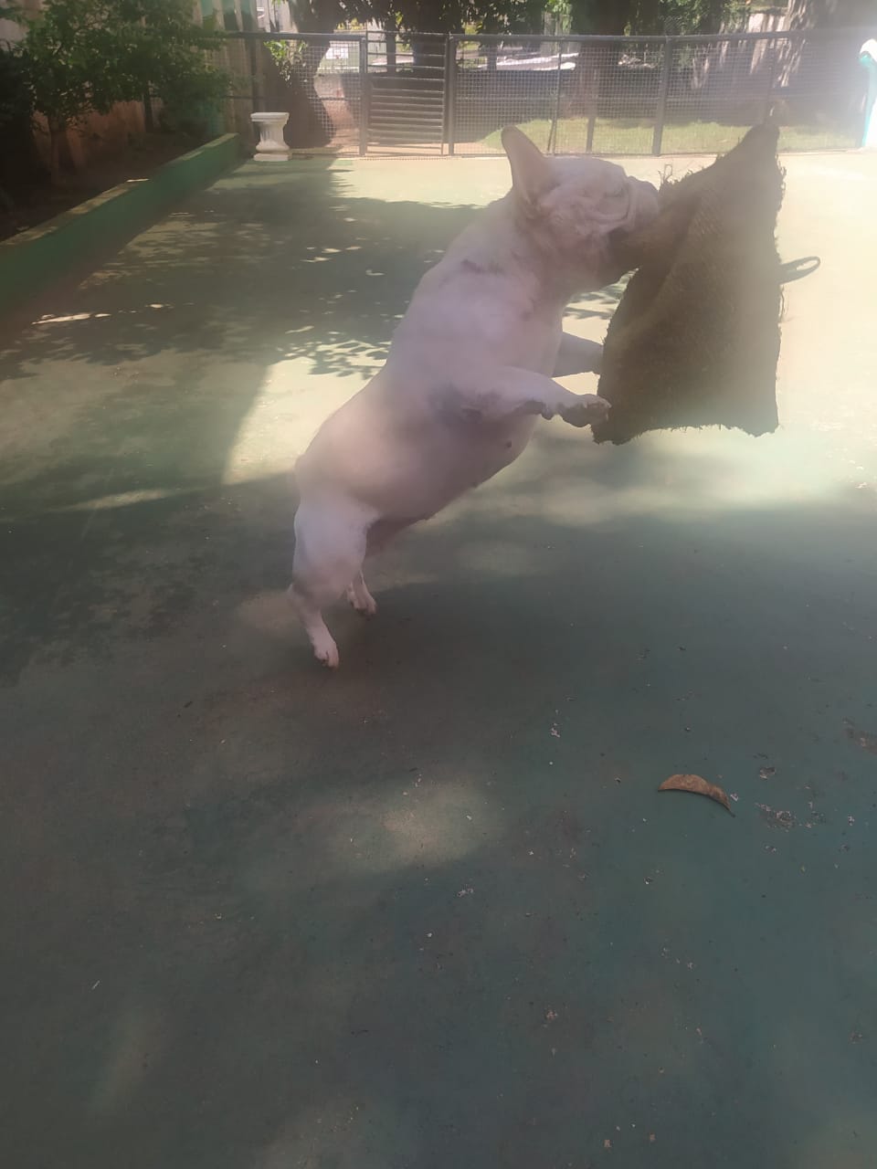 sexta-feira, 09/01/2026 10:31