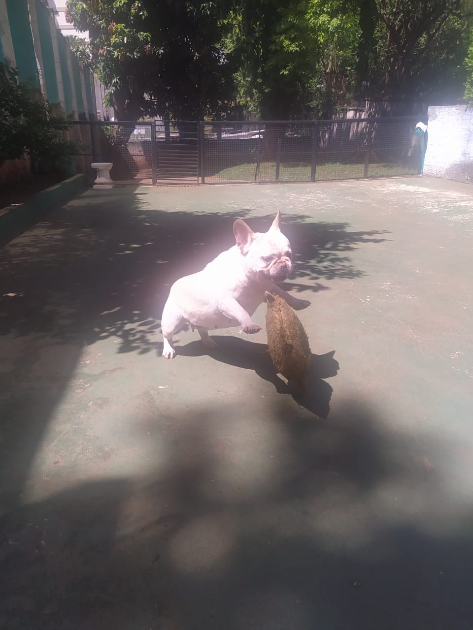 sexta-feira, 09/01/2026 10:31