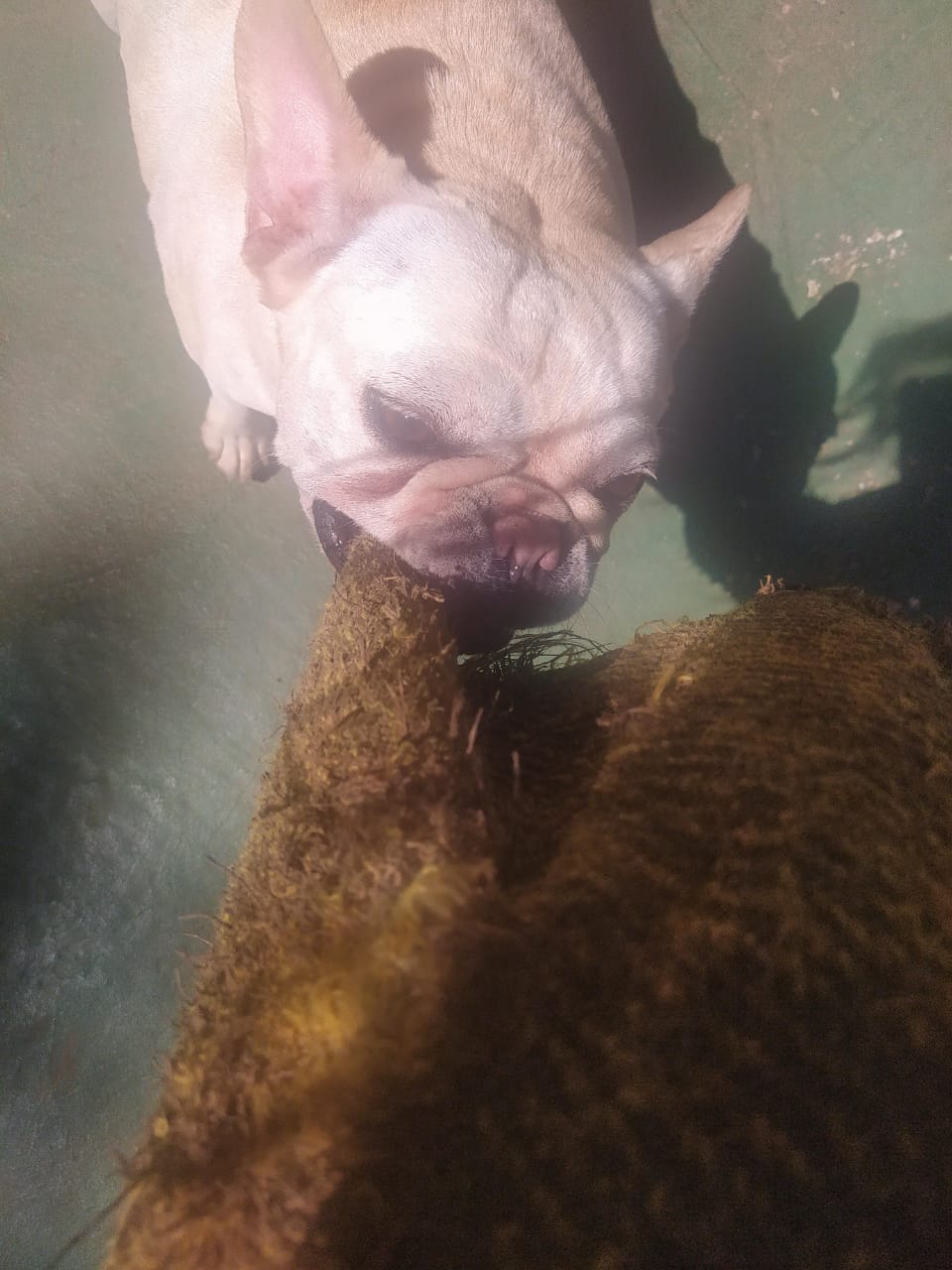 sexta-feira, 09/01/2026 10:31