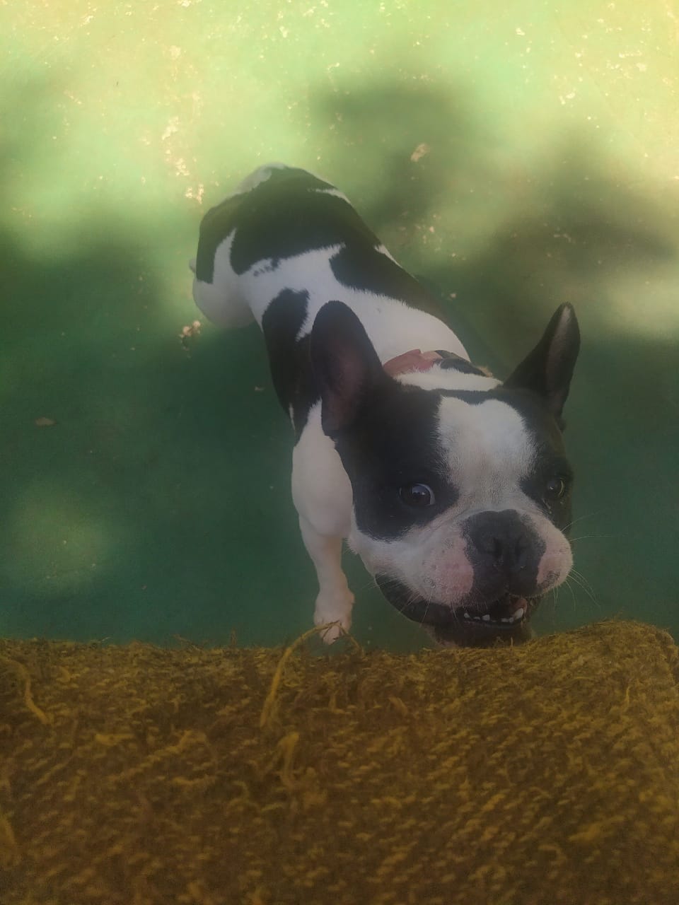 sexta-feira, 09/01/2026 10:31