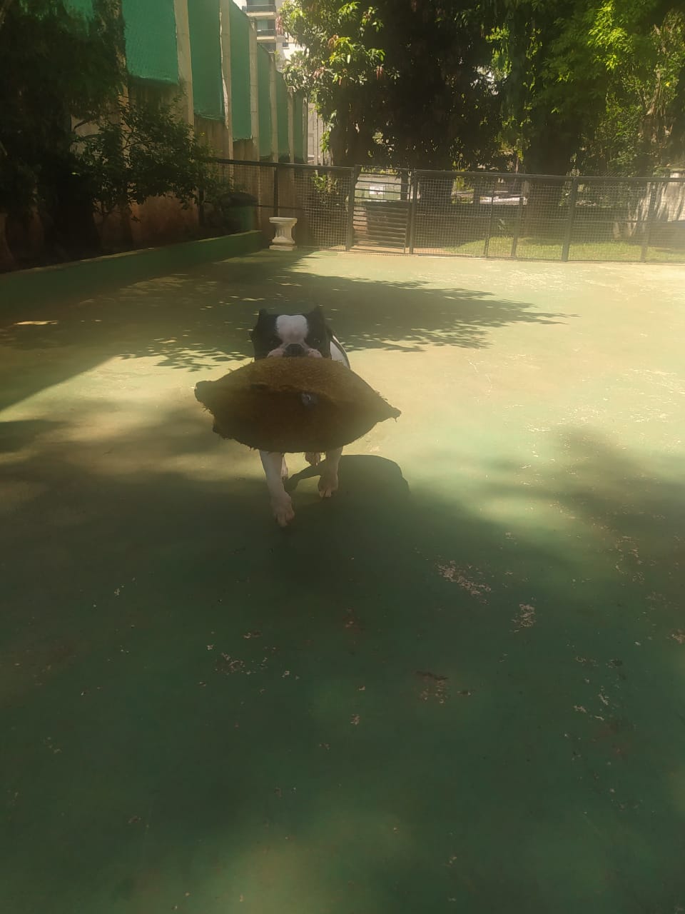 sexta-feira, 09/01/2026 10:31