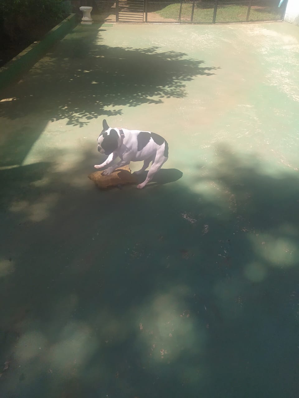 sexta-feira, 09/01/2026 10:31