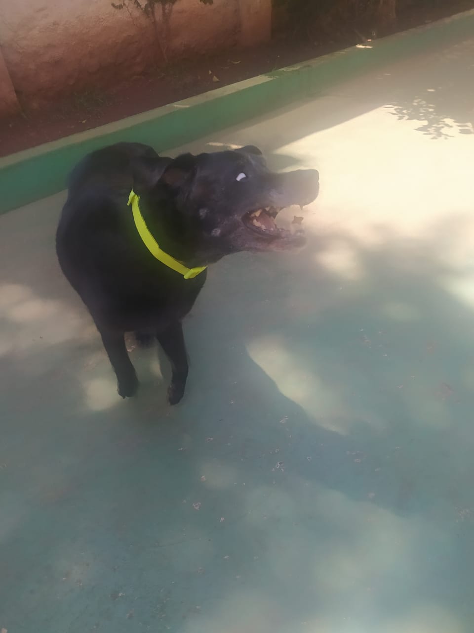 sexta-feira, 09/01/2026 10:38