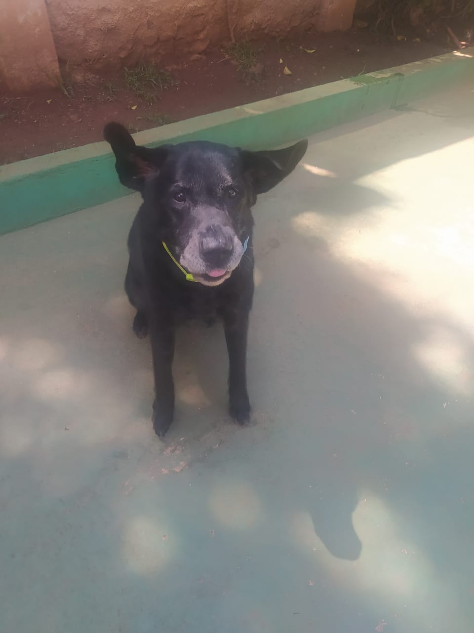 sexta-feira, 09/01/2026 10:38