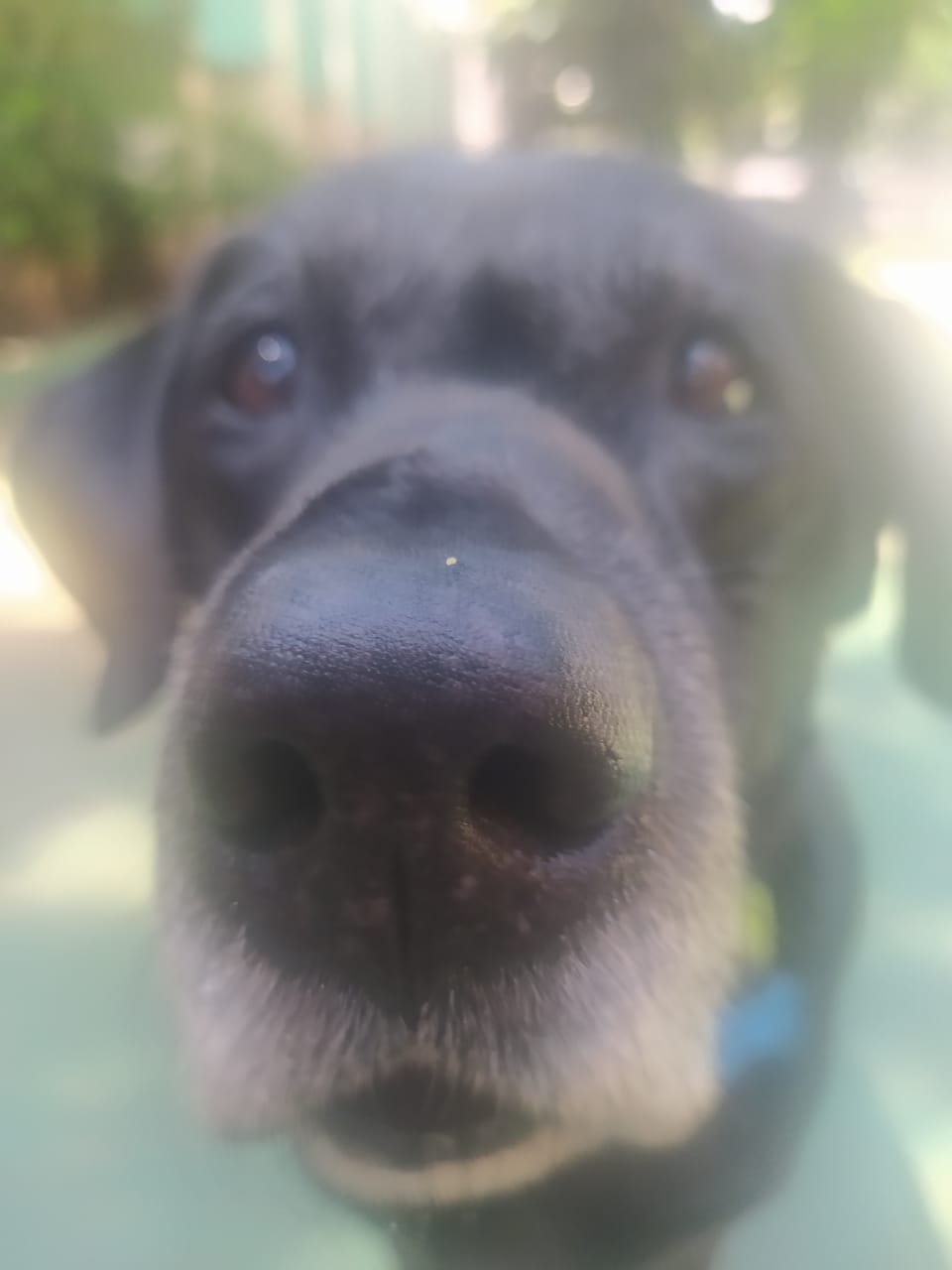 sexta-feira, 09/01/2026 10:38