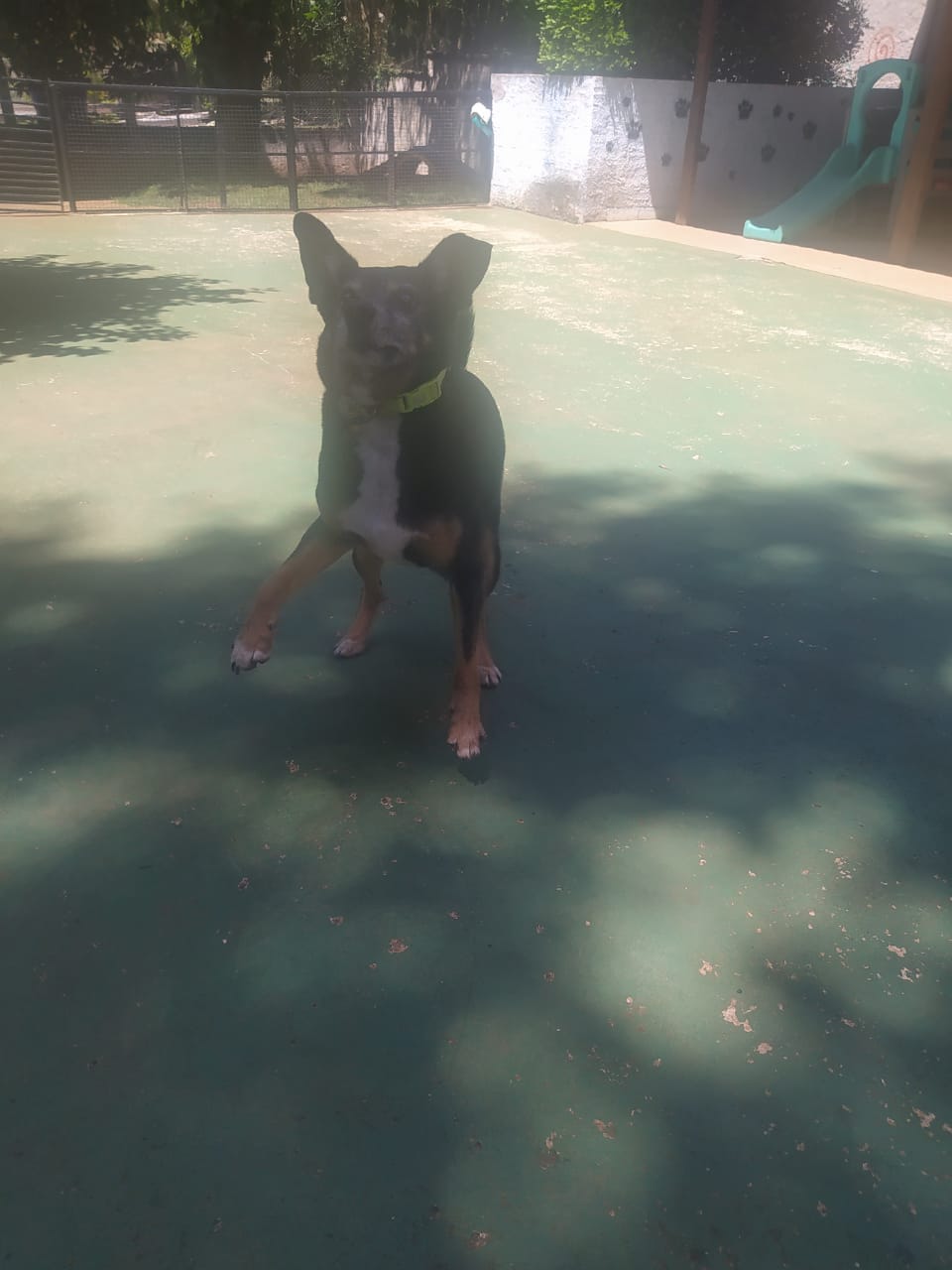 sexta-feira, 09/01/2026 10:42