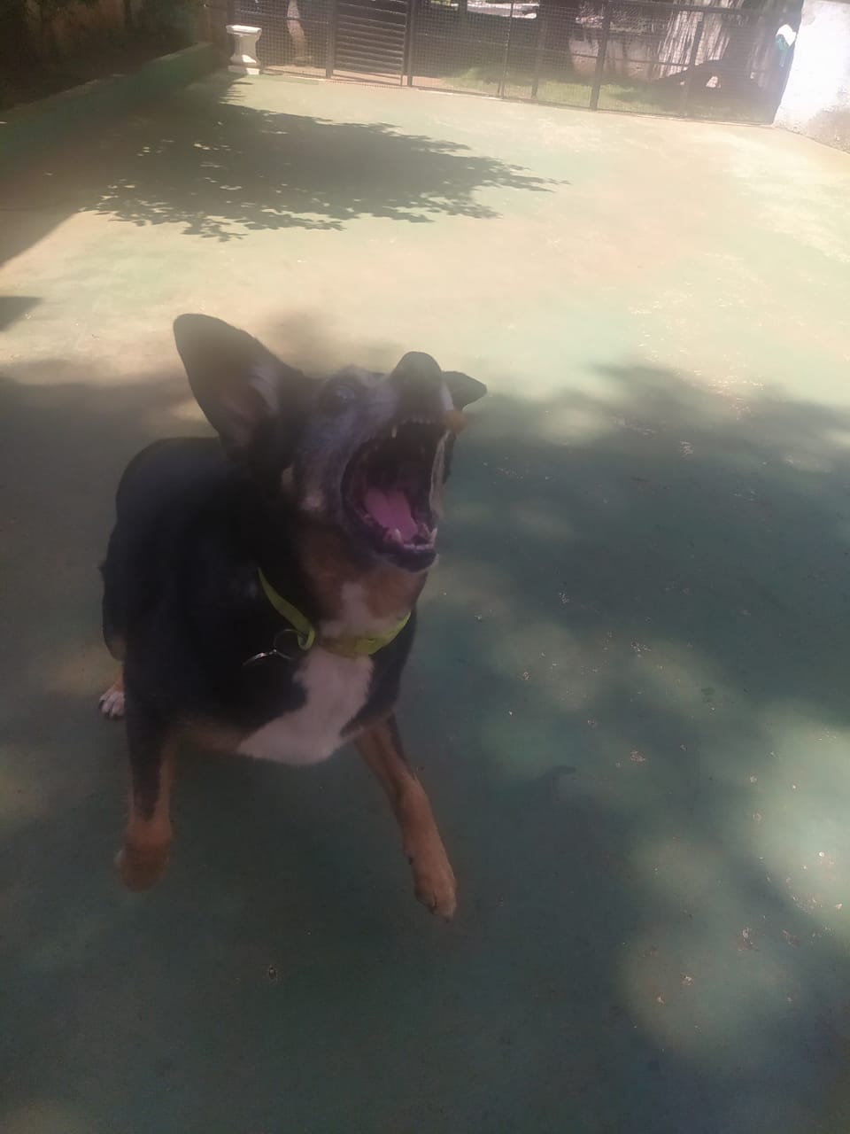 sexta-feira, 09/01/2026 10:42