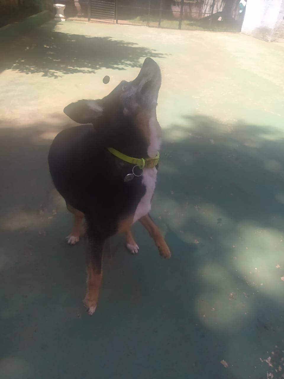 sexta-feira, 09/01/2026 10:42