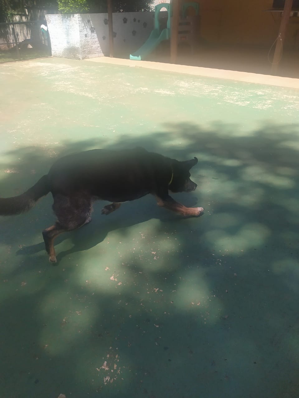 sexta-feira, 09/01/2026 10:42