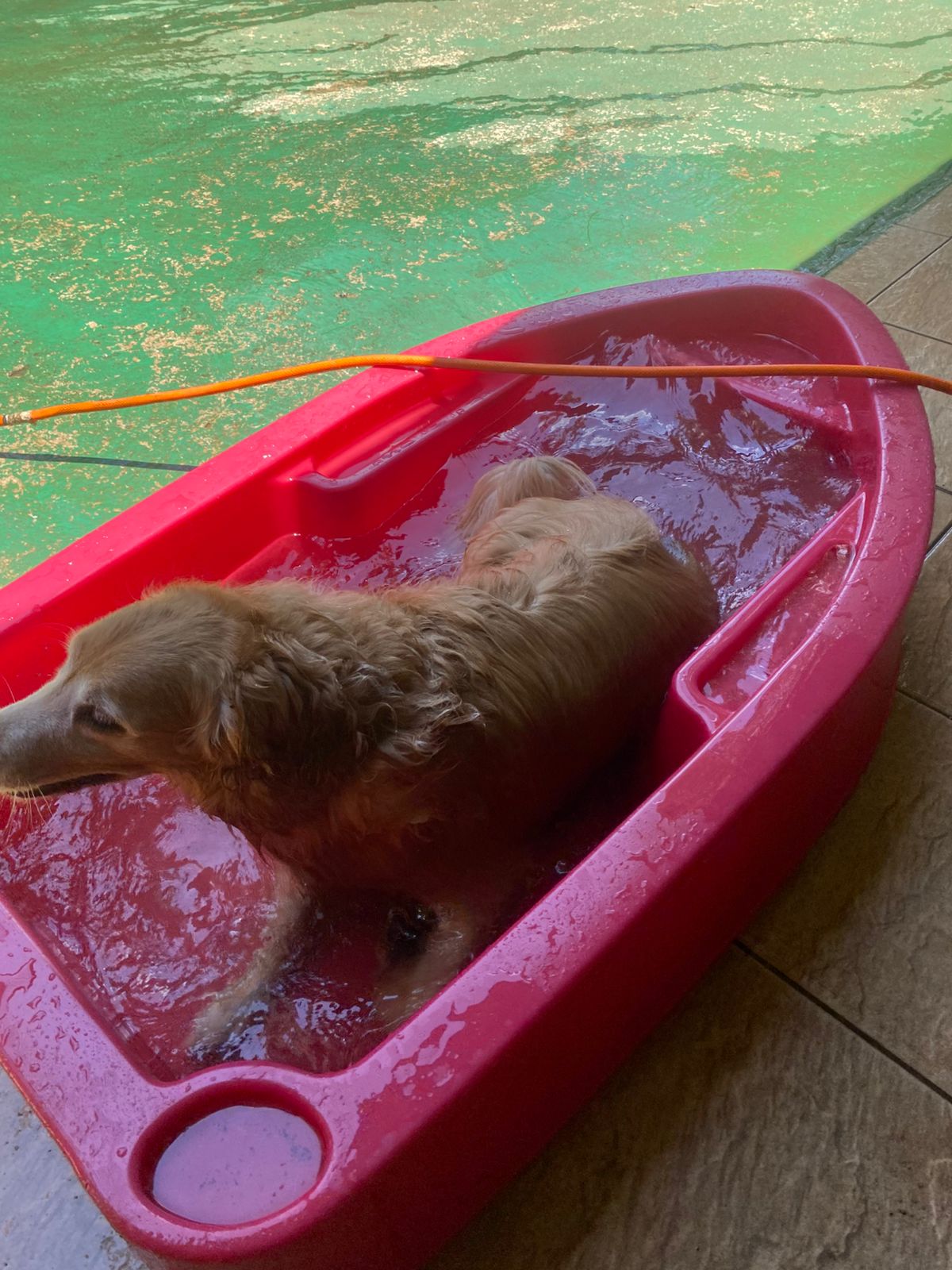 sexta-feira, 09/01/2026 12:03